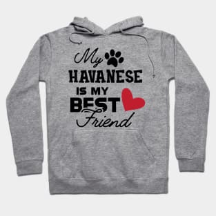 Havanese Dog - My havanese is my best friend Hoodie